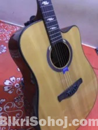 DOTCH MD-150 Acoustic Guitar